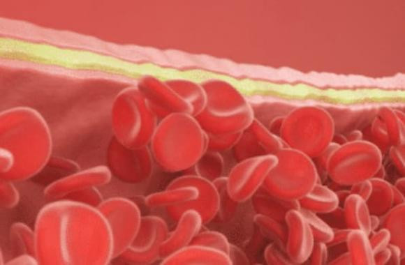 Nguoi co mau sach noi chung co 3 dac diem nay