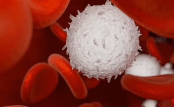 Nguoi co mau sach noi chung co 3 dac diem nay-Hinh-2