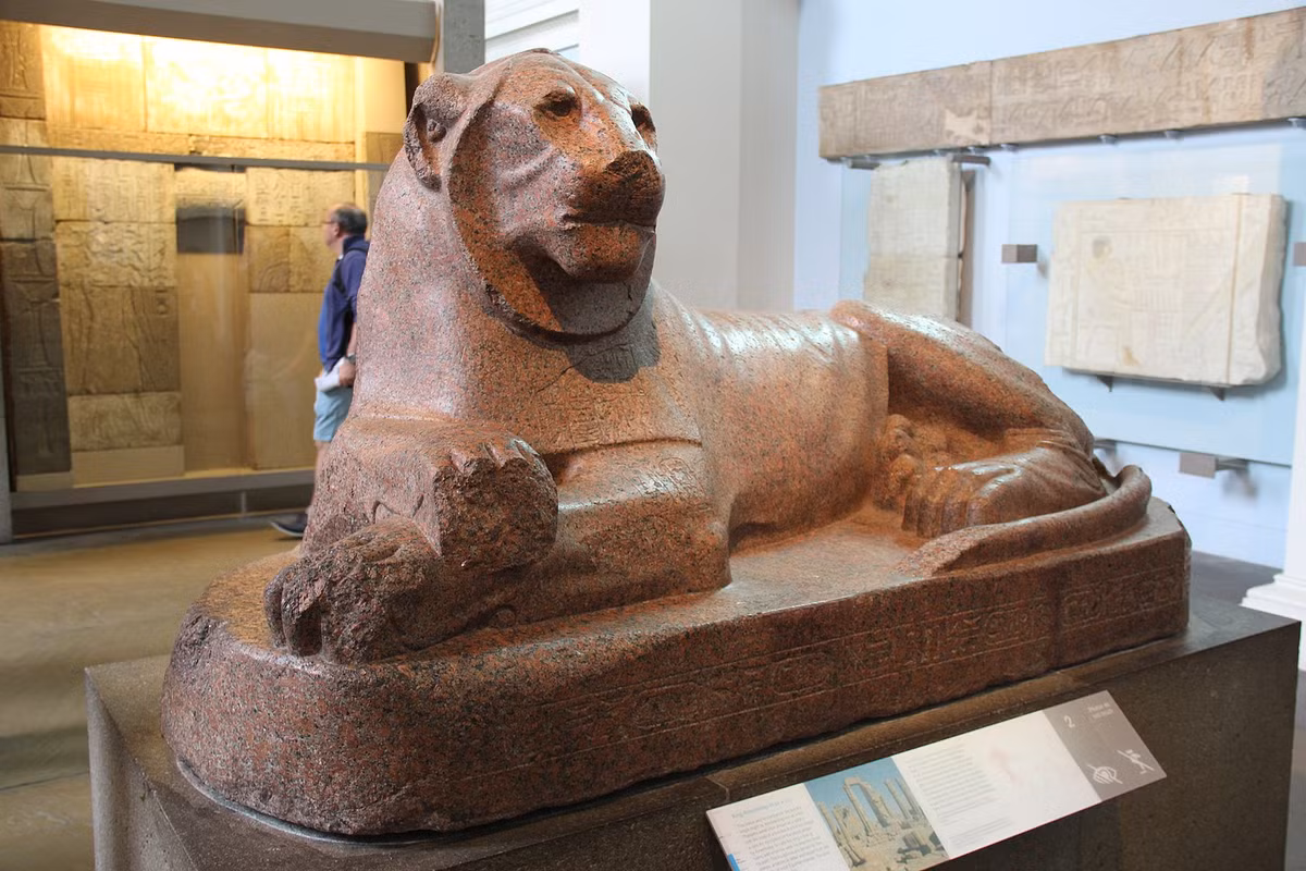 Tam quan trong cua dong vat trong tin nguong cong dong cu dan co dai