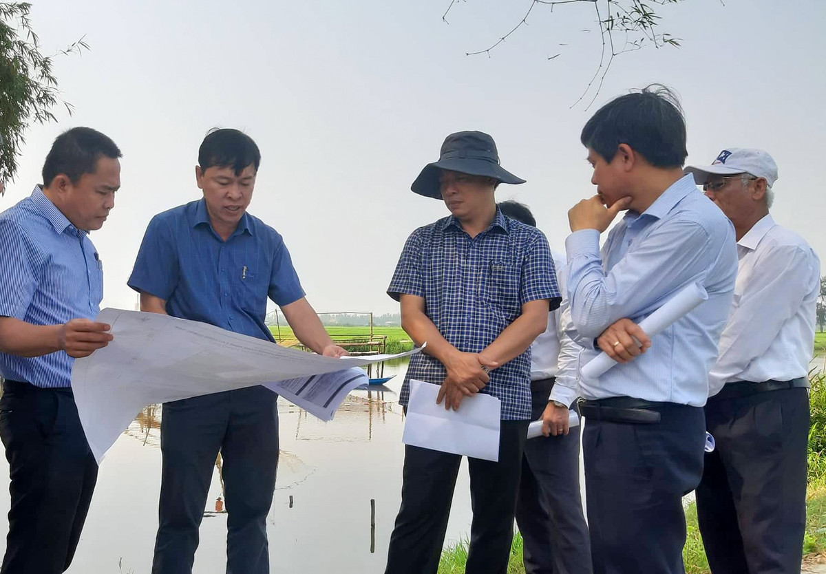 Quang Nam thu hoi 2 du an hon 5.400 ty dong cua tap doan T&T