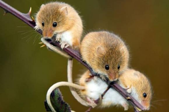 Chỉ cần kiên trì làm việc chăm chỉ, họ sẽ từng bước vươn lên, và họ nhất định sẽ trở nên nổi tiếng.* Thông tin trong bài chỉ mang tính tham khảo, chiêm nghiệm