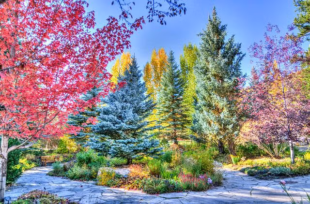 Ai sinh ngay Am lich nay trong tinh nang nghia, cuoc doi rong mo-Hinh-2