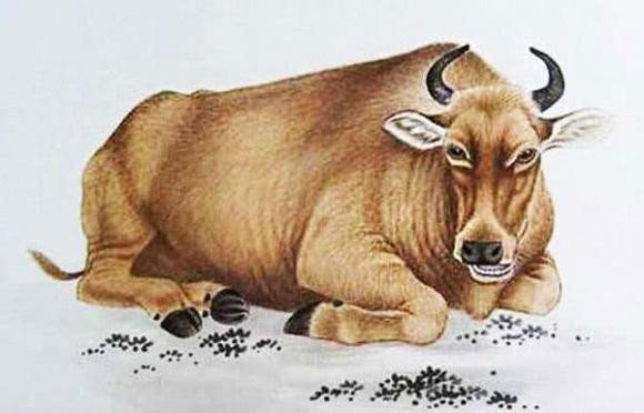 Xung quanh tuổi Sửu cũng sẽ có nhiều cơ hội kiếm tiền và Sửu có thể nắm bắt hết. Chính điều này khiến cả gia đình có một cuộc sống giàu sang phú quý. * Thông tin trong bài chỉ mang tính tham khảo, chiêm nghiệm