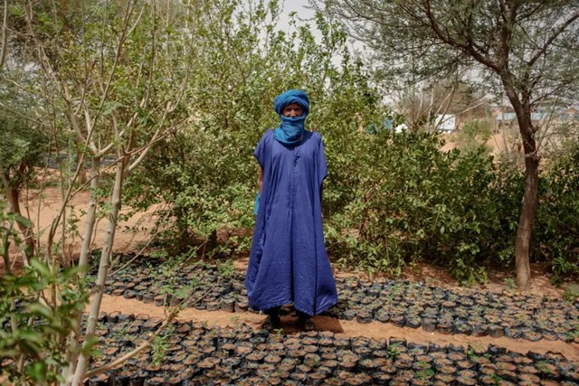 "Hoả ngục Sahara': Những bóng lưng tình nguyện đối đầu với lửa ảnh 2