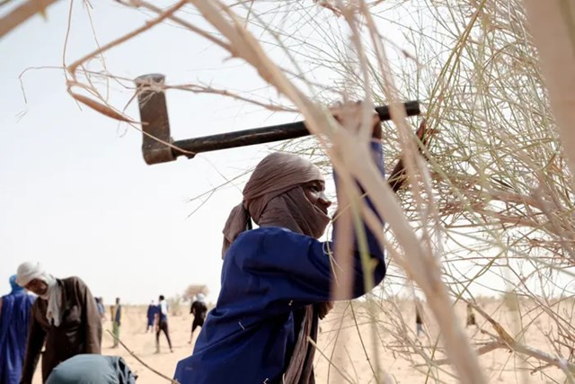 "Hoả ngục Sahara': Những bóng lưng tình nguyện đối đầu với lửa ảnh 5