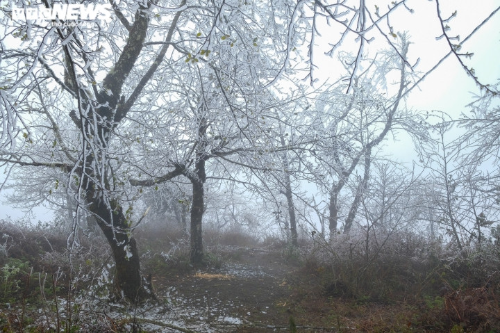 Xã A Lù nằm ở phía Tây Bắc huyện Bát Xát, cách thị trấn Bát Xát khoảng 100 km, phía Tây và phía Bắc giáp Trung Quốc. Ghi nhận của PV VTC News lúc 8h sáng, băng giá phủ trắng xóa cả một vùng rừng núi tại thôn Ngải Thầu Thượng (xã A Lù).