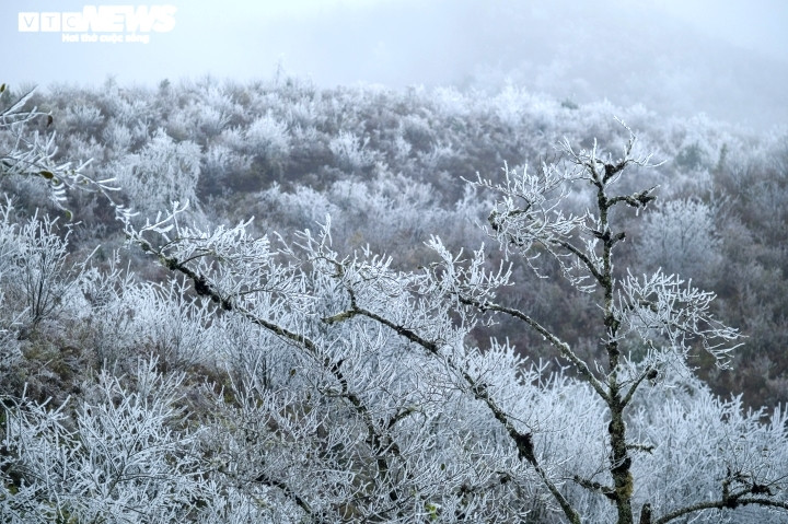Với độ cao 2.000m so với mực nước biển, thôn Ngải Thầu Thượng là nơi có thể dễ dàng cho du khách cơ hội ngắm nhìn băng tuyết vào mùa Đông. Băng xuất hiện tại đây từ ngày 20/2, hôm nay băng dày hơn và phủ rộng ở những vùng thấp hơn. Từ đêm qua tới sáng nay trời rét 0 độ C, tới trưa nay nhích lên 1 độ C.
