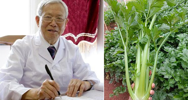 Loại rau rẻ bèo giúp hạ đường huyết vượt trội, chữa mỡ máu cao Loai rau re beo giup ha duong huyet vuot troi, chua mo mau cao