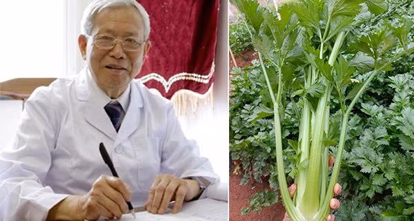 Loại rau rẻ bèo giúp hạ đường huyết vượt trội, chữa mỡ máu cao Loai rau re beo giup ha duong huyet vuot troi, chua mo mau cao