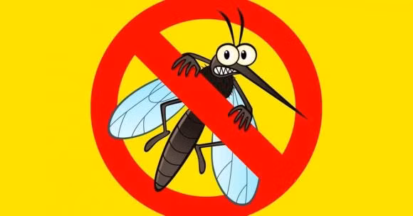 Ai cung ghet muoi nhung dieu gi se xay ra neu muoi bien mat?-Hinh-3