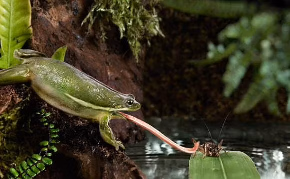 Ai cung ghet muoi nhung dieu gi se xay ra neu muoi bien mat?-Hinh-4