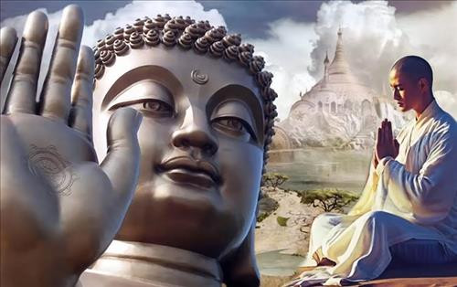 Phat day ve long tu bi: 4 cach nuoi duong-Hinh-2