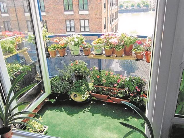 Nếu như bạn muốn hóa giải điều này hãy tìm cách đặt chậu cây xanh tươi ở cửa ra vào, vì sẽ luôn mang tới cho con người sự tươi mới, sảng khoái và đầy sức sống từ thiên nhiên. Bạn cũng có thể chọn các loại cây hợp phong thủy, vừa cải thiện tâm trạng lại giúp hấp thụ năng lượng tiêu cực. (*) Thông tin chỉ mang tính tham khảo, chiêm nghiệm