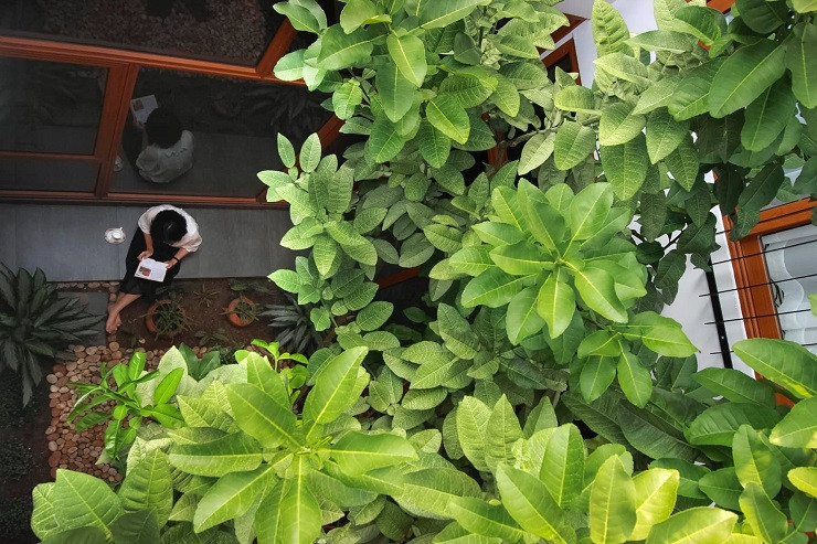 Phòng bếp - ăn là không gian nối tiếp với sân trong của công trình, bởi vậy khu vực này cũng tràn ngập ánh sáng và khí tươi. Khu vực bếp nấu được đặt sát với sân trong, khi nấu nướng gia chủ chỉ cần mở cửa trượt sân trong giúp mùi đồ ăn được phân tán hiệu quả. Ngôi nhà được hoàn thành với niềm vui, hạnh phúc và sự hài lòng của hai mẹ con gia chủ.