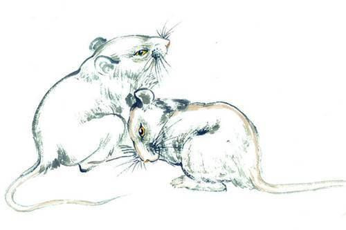 Điều này tiết kiệm không ít sức lực cho người tuổi Tý, tuy nhiên vẫn quan tâm, đối xử thẳng thắn với nhau, nắm bắt cơ hội thăng chức, tăng lương. 