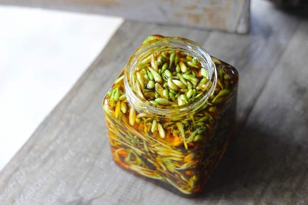 Hoa du du duc ngam cung thu nay se thanh thuoc quy nhu vang