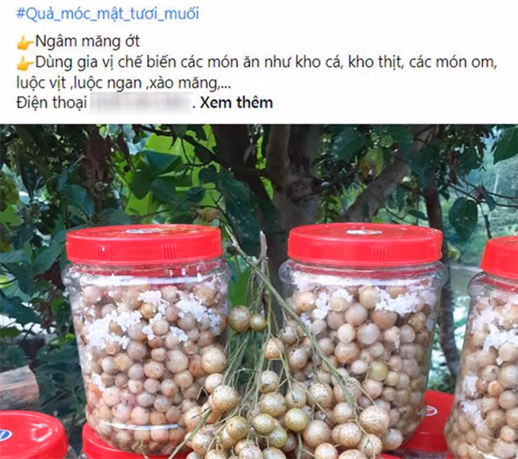 Thu moc bo bui o Viet Nam, dan hai ban thanh dac san-Hinh-5