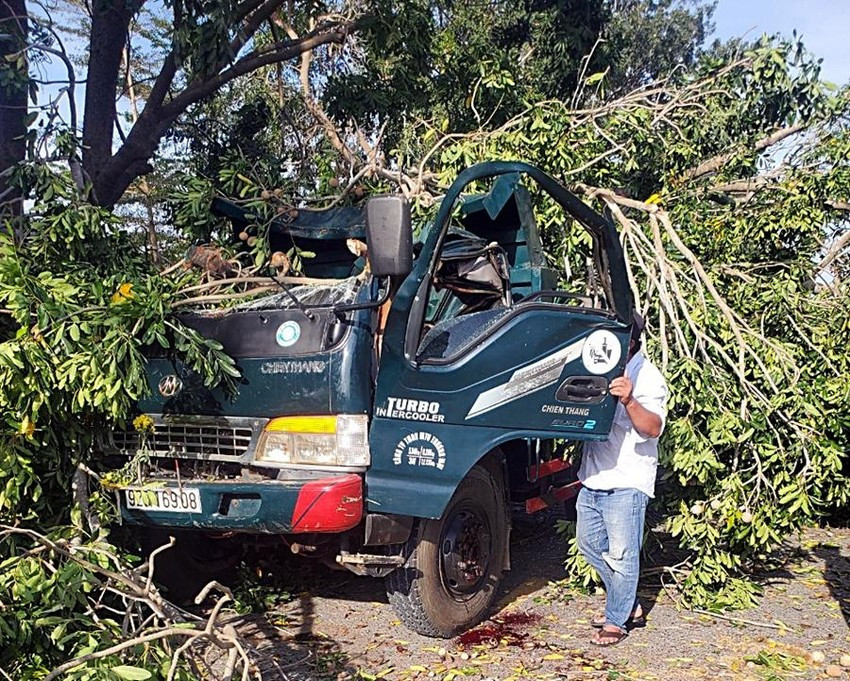 Cay xa cu bat ngo nga de o to, tai xe thiet mang