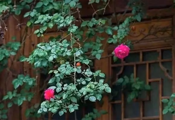 Nhung nguoi khong the kiem duoc tien lon, tru khi thoat khoi 3 van de