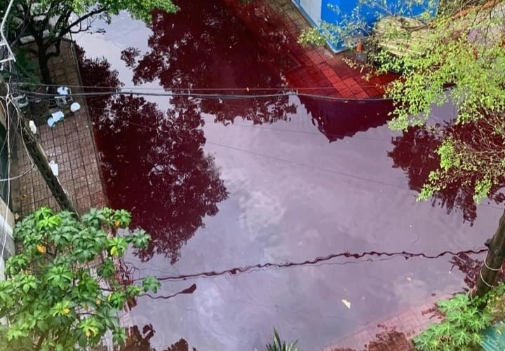 Truy tim nguyen nhan 2 con duong o TP HCM ngap nuoc mau do