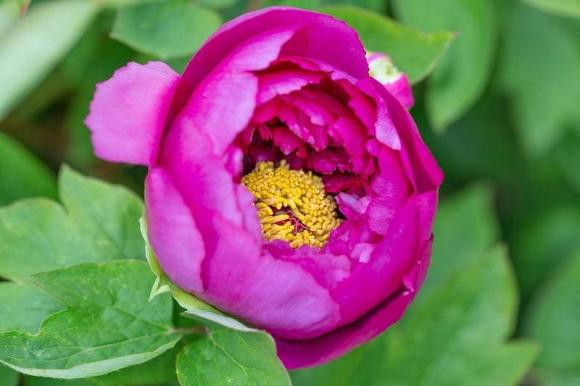 Nguoi sinh vao 5 thang am nay cuoc doi kha gia, tien quan quanh than