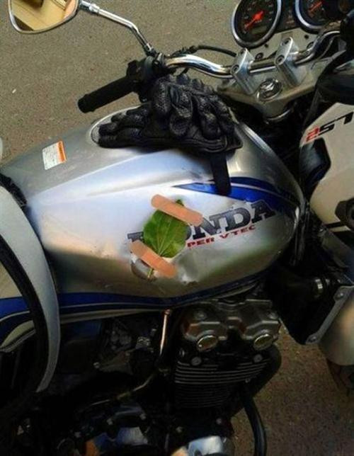 Dùng lá cây "vá" bình xăng.