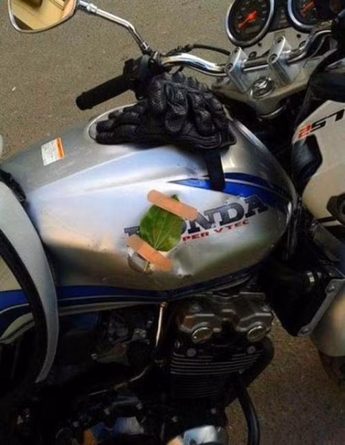 Dùng lá cây "vá" bình xăng.