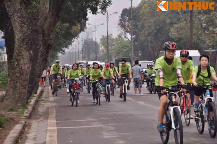 Đây là một sự kiện thường niên được thực hiện bởi Tổ chức Động vật Châu Á - Animals Asia tại Việt Nam và nhóm thanh niên tình nguyện Action Bear nhằm kêu gọi sự ủng hộ của mọi người về công tác bảo tồn gấu hoang dã cũng như việc nói "không" với mật gấu.