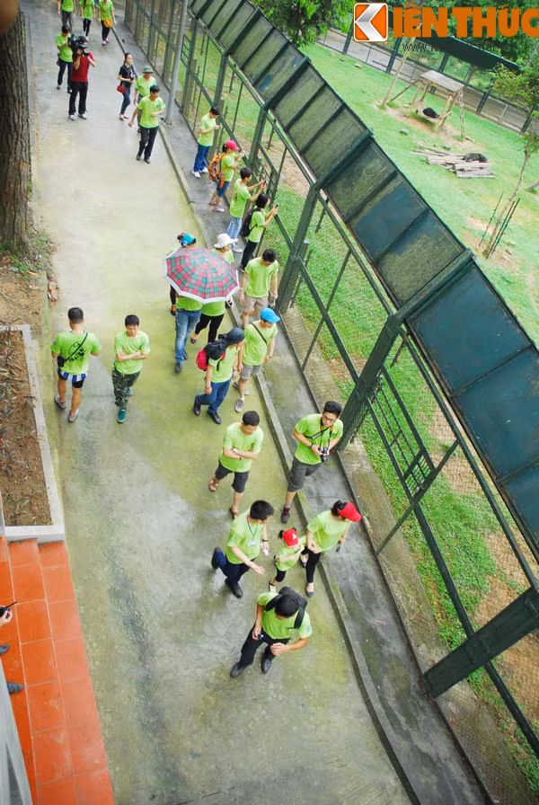 Bên cạnh việc đạp xe tuyên truyền, các tình nguyện viên còn được đi thăm quan các khu bán tự nhiên hoang dã dành cho gấu sinh sống trong trung tâm cùng với các hoạt động vẽ tranh, tô tượng khác dành cho trẻ em.