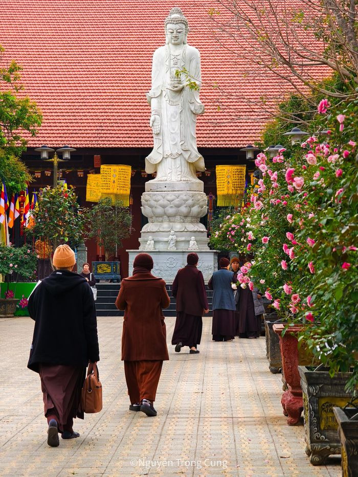 Ngoi chua dep la co nhieu co vat o ngoai thanh Ha Noi-Hinh-9