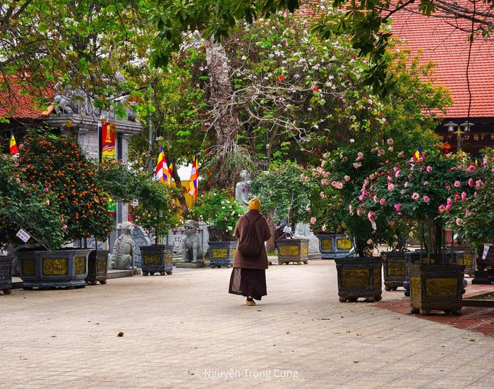 Ngoi chua dep la co nhieu co vat o ngoai thanh Ha Noi-Hinh-6