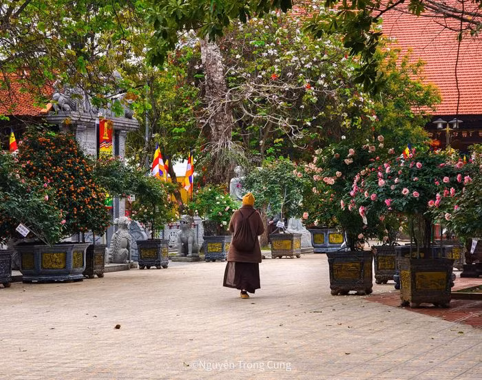 Ngoi chua dep la co nhieu co vat o ngoai thanh Ha Noi-Hinh-6