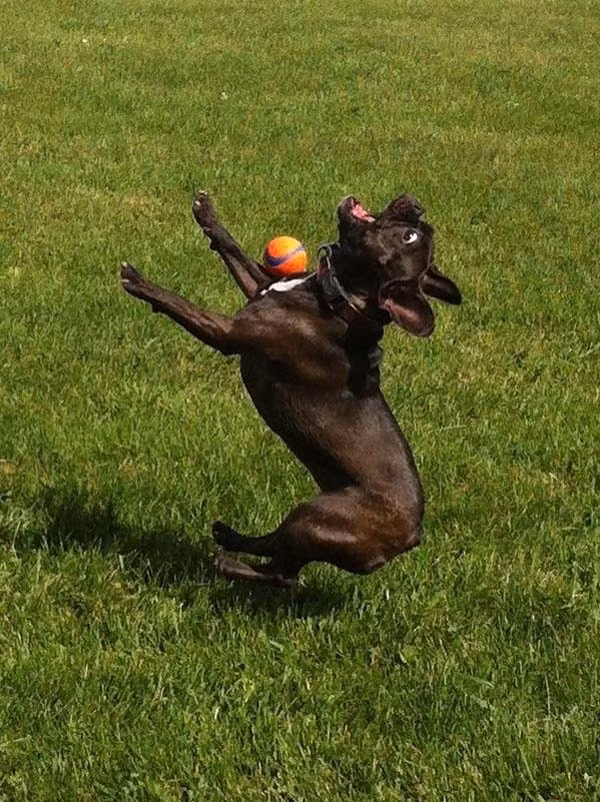 Bắt một quả bóng như thế nào vậy? Thật khó quá đi!