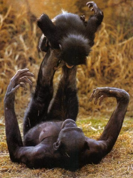 Ngày còn bé các bạn có thích chơi trò này không?