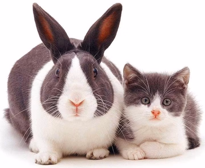 Các bạn thấy thế nào?