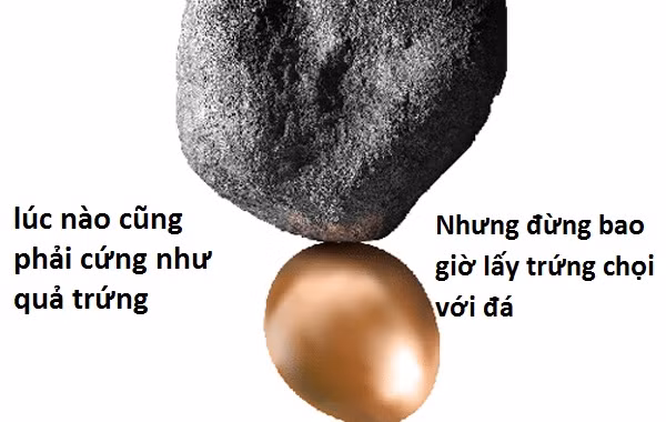 "Đừng lấy trứng chọi với đá!".