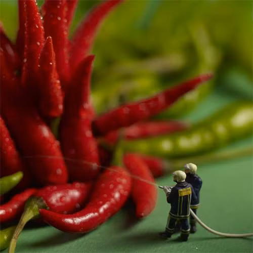 Nóng quá! Phải gọi cứu hỏa rồi.