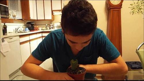 Và phần lớn là con trai.