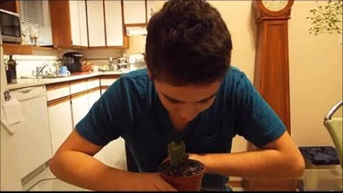 Và phần lớn là con trai.