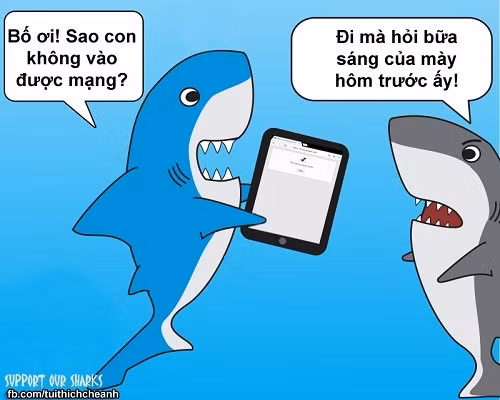 Nguyên nhân gây mất mạng.