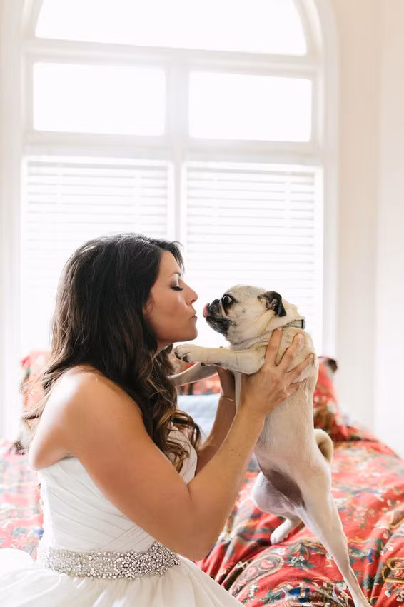 Chú chó này có biểu cảm liếm lưỡi cực đáng yêu như muốn nói: "Ồ, tôi được cô ấy hôn, trước cả chú rể cơ đấy!".