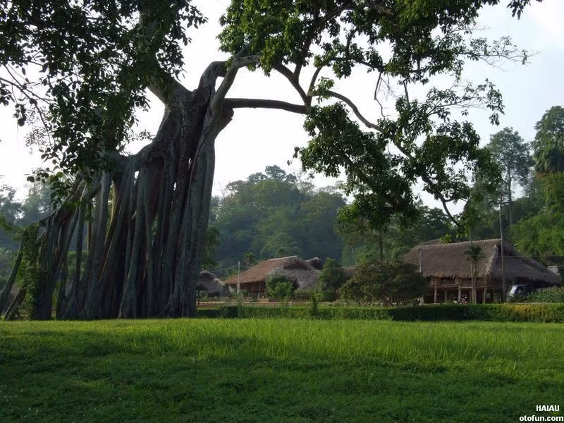 Với các phượt thủ muốn có một chuyến phượt ý nghĩa, mang tính lịch sử cao có thể lựa chọn cung đường Hà Nội - Định Hóa thuộc địa phận tỉnh Thái Nguyên. Để tới được địa điểm này, các phượt thủ sẽ lại ngược theo quốc lộ 3 để tới thành phố Thái Nguyên sau đó lên tới huyện Định Hóa. Quãng đường của cung đường này khoảng hơn 100km. Ảnh: Haiau.