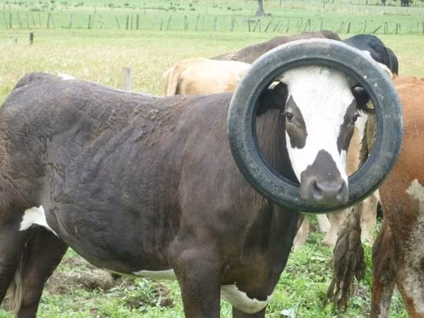 Hiệu quả thu hút ánh nhìn đạt tuyệt đối rồi đấy!