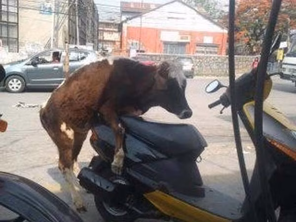 Xe máy, thử thách mới đối với mình chăng?