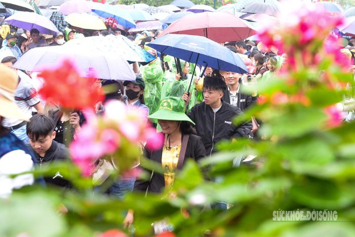 Hang van du khach xep hang tham quan Di tich lich su Den Hung-Hinh-11