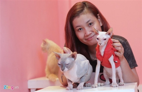 Hiền Anh bên hai chú mèo không lông. Ảnh: Như Quỳnh.