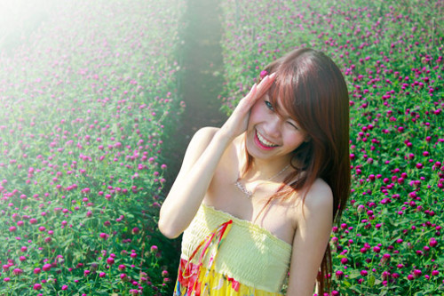 Đúng lúc hoa đang độ đẹp nhất, giới trẻ Hà thành lại xúm xít rủ nhau đi ngắm và tạo dáng chụp ảnh. Hoa bách nhật nhẹ nhàng, thanh thoát với màu tím thủy chung.