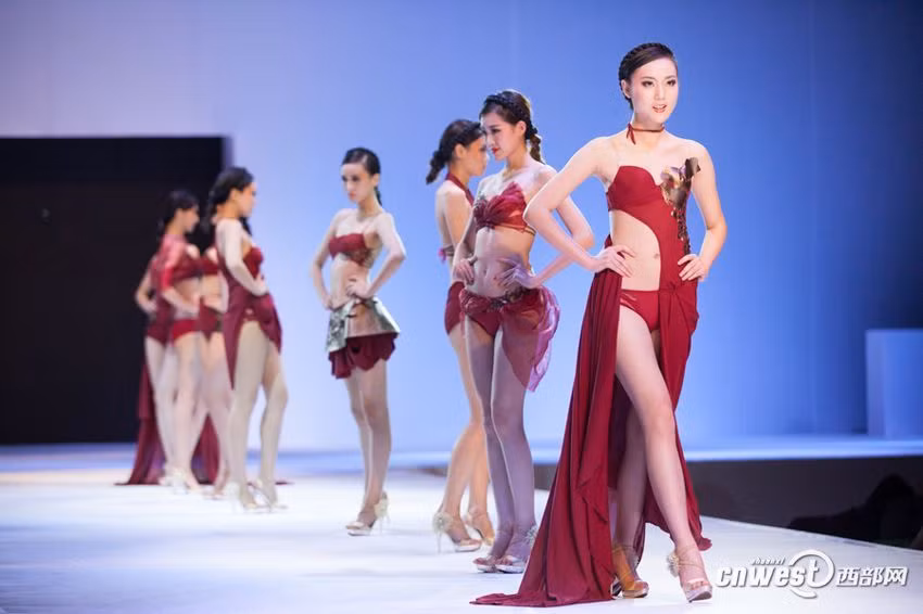 Một bộ sưu tập - bài thi tốt nghiệp gây chú ý của sinh viên trường Đại học Bách khoa Tây An.