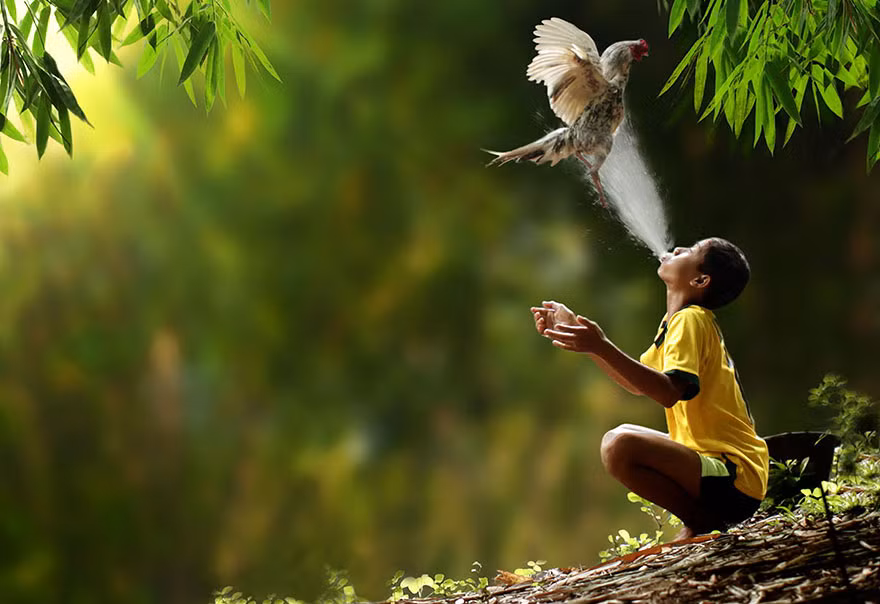 Hầu hết các bức ảnh đều được chụp một cách tự nhiên và khoảng thời gian chụp đẹp nhất là vào 7 đến 9 giờ sáng.