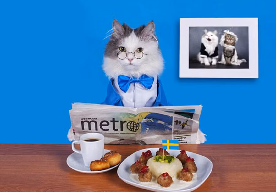 Ra dáng một nhà trí thức...